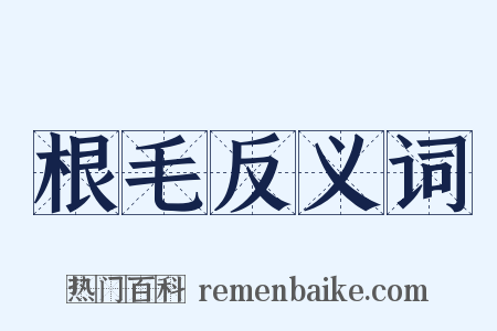 根毛反义词是什么意思的图片